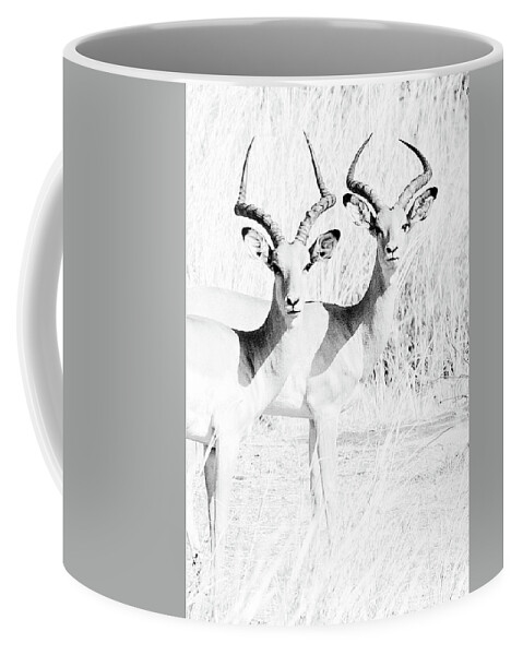 Animals Coffee Mug featuring the photograph Deer friends by Gaye Bentham
