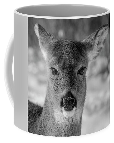 Nature Coffee Mug featuring the photograph Deer in Black White by Cathy Kovarik