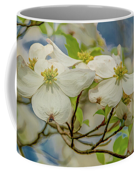 Dogwood Blossoms Coffee Mug featuring the photograph Delicate Dogwoods by Marcy Wielfaert