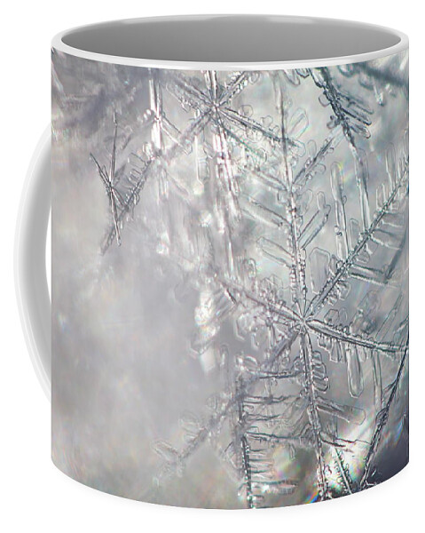 Abstract Coffee Mug featuring the photograph Delicate snowflakes illuminated by the sun by Intensivelight