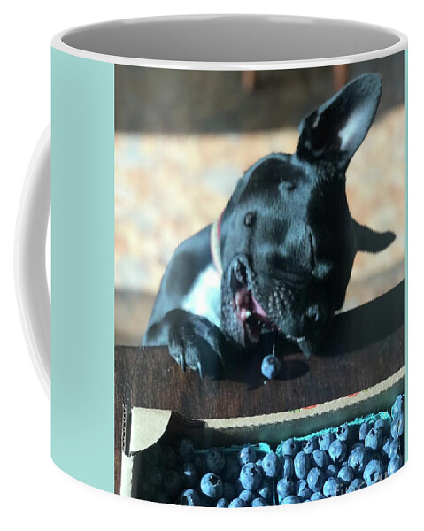 Frenchton Coffee Mug featuring the photograph Delicious sampling by Heather L Wright