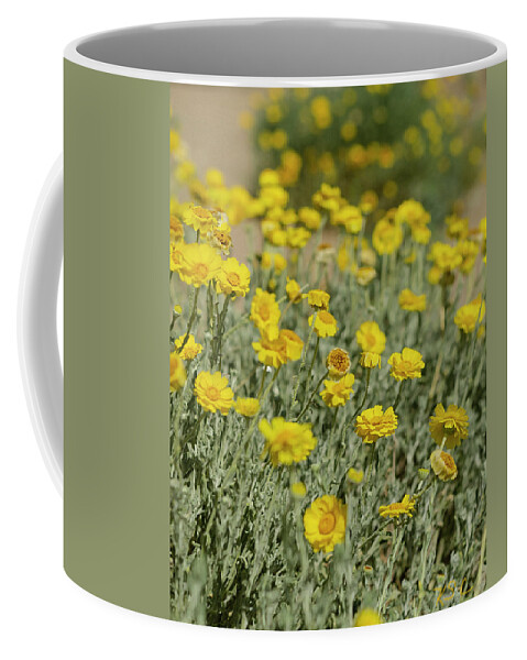 Yellow Flowers Coffee Mug featuring the digital art Desert Daises by Karen Conley
