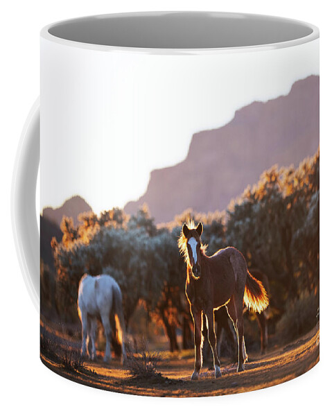 Yearling Coffee Mug featuring the photograph Desert View by Shannon Hastings