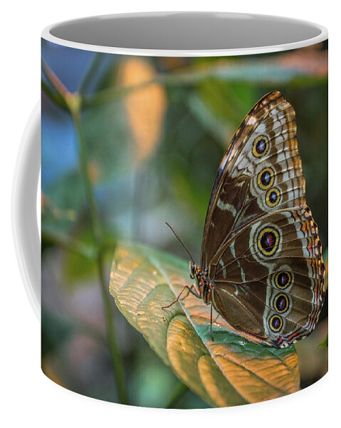 Bill Pevlor Coffee Mug featuring the photograph Designer Dots by Bill Pevlor