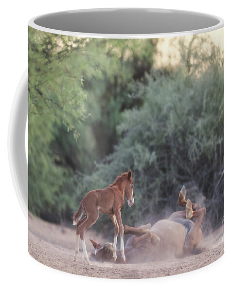 Cute Coffee Mug featuring the photograph Dirt Bath by Shannon Hastings