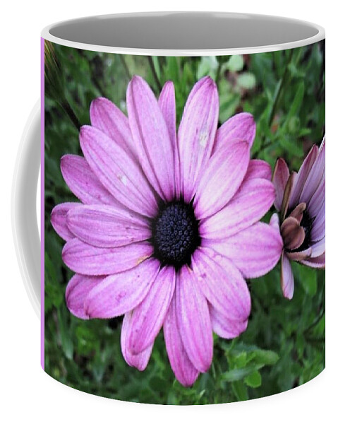 Stareye Coffee Mug featuring the photograph Dirty Pink by Rosita Larsson