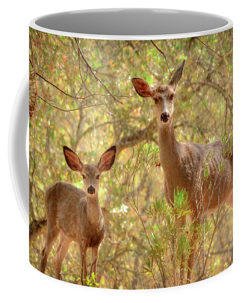Deer Coffee Mug featuring the photograph Doe and Fawn by Soroush Mostafanejad
