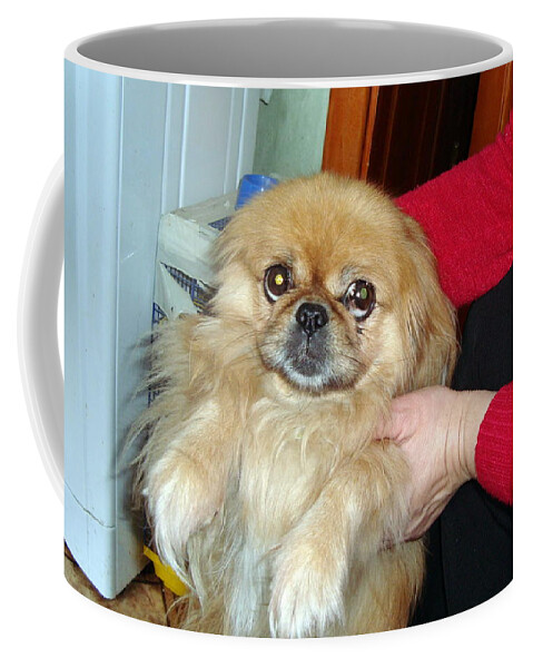 Dog Coffee Mug featuring the photograph Dogs in the background by Oleg Prokopenko