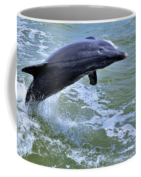 Dolphin Coffee Mug featuring the photograph Dolphin Jump by Elaine Manley