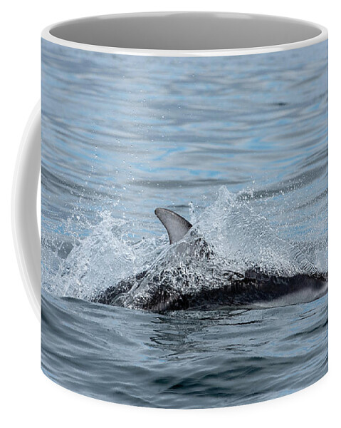 White Coffee Mug featuring the photograph Dolphin by Canadart -