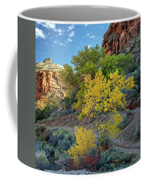Dominguez Canyon Coffee Mug featuring the photograph Dominguez Gold by Angela Moyer