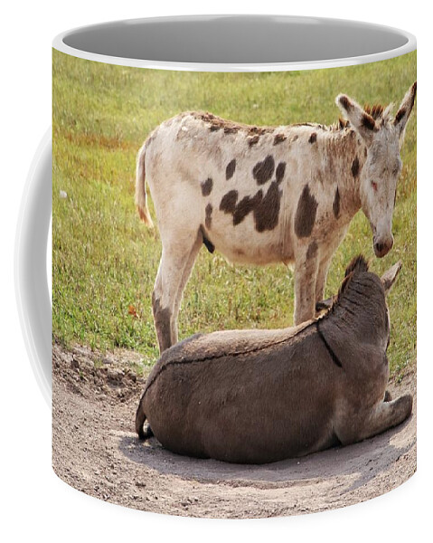 Donkey At Custer Coffee Mug featuring the photograph Donkeys at Custer State Park by Susan Jensen