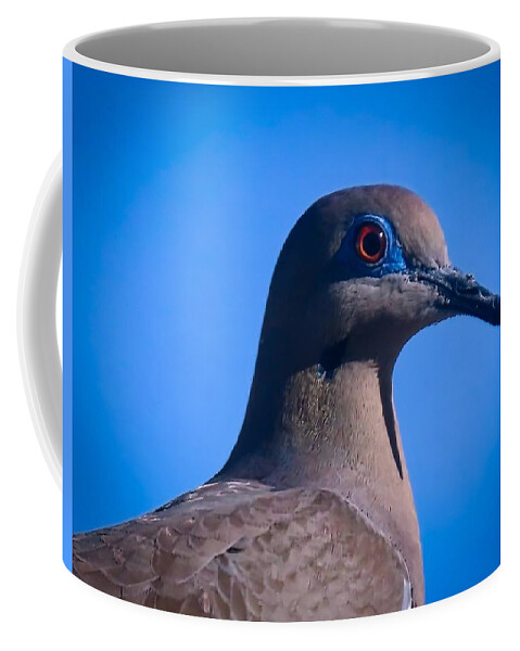Arizona Coffee Mug featuring the photograph Don't It Make My Brown Eyes Blue by Judy Kennedy