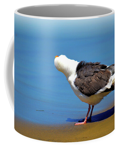 Seagull Coffee Mug featuring the photograph Don't Take My Picture by Debra Kewley