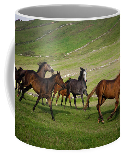 Horse Coffee Mug featuring the photograph Doolin Gallop III by Mark Callanan