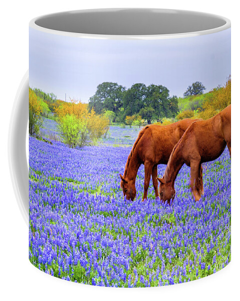 Austin Coffee Mug featuring the photograph Double Vision by Johnny Boyd