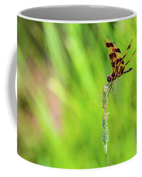 Animal Coffee Mug featuring the photograph Nature Photography - Dragonfly by Amelia Pearn