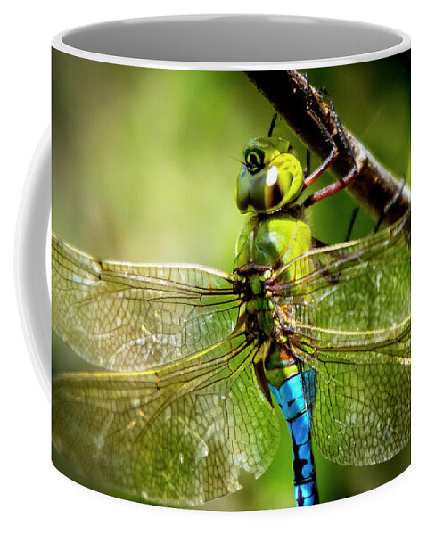 Dragonfly Coffee Mug featuring the photograph Dragonfly Closeup by David Morefield