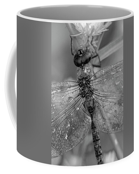 Disk1215 Coffee Mug featuring the photograph Dragonfly In Morning Dew by Tim Fitzharris