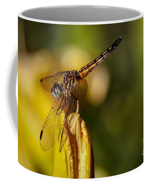 Dragonfly Coffee Mug featuring the photograph Dragonfly in the Limelight by Susan Rydberg