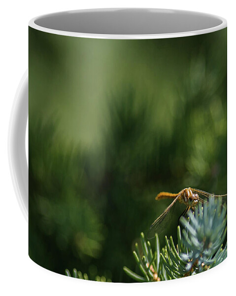 Macro Photography Coffee Mug featuring the photograph Dragonfly by Julieta Belmont