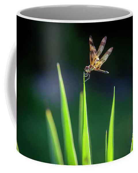 Halloween Pennant Dragonfly Coffee Mug featuring the photograph Yucca plant Spanish Bayonet X100 by Rich Franco