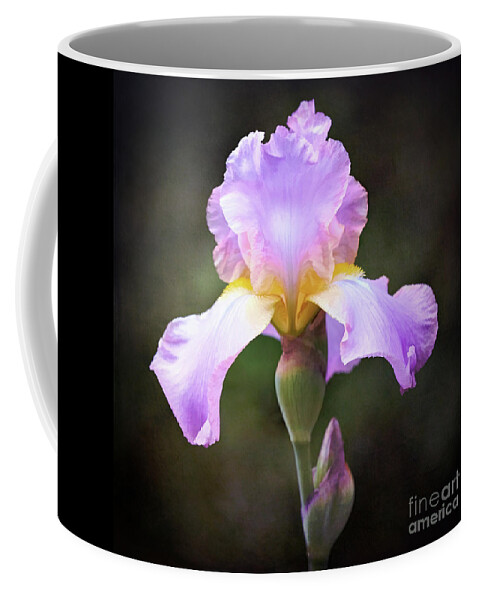 Iris Coffee Mug featuring the photograph Dramatic Purple Iris by Anita Pollak