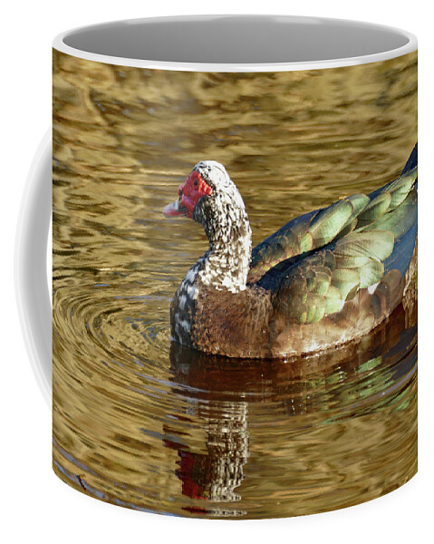 Duck Coffee Mug featuring the photograph Duck on Golden Pond by Margaret Zabor
