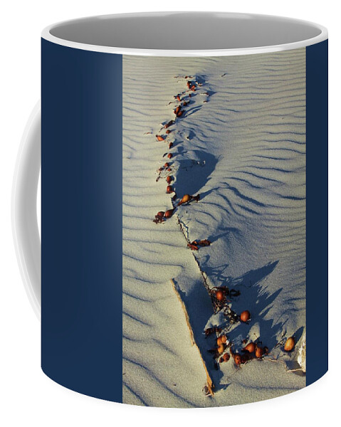Sand Coffee Mug featuring the photograph Dune texture by Fred Bailey
