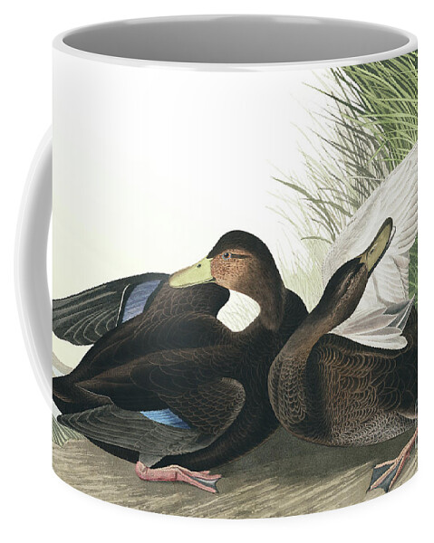 Duck Coffee Mug featuring the painting Dusky Duck, Anas Obscura by Audubon by John James Audubon