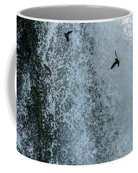 Cypseloides Senex Coffee Mug featuring the photograph Dusky Swifts Diving Through the Falls by Mark Hunter