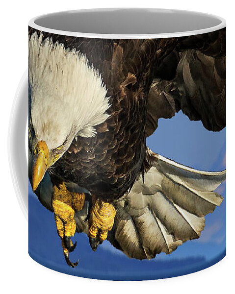 Eagle Coffee Mug featuring the photograph Eagle Fishing in Glacier Bay Alaska by Russ Harris
