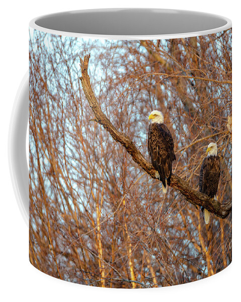 2018 Coffee Mug featuring the photograph Eagles Watching the Sunset by Wild Fotos