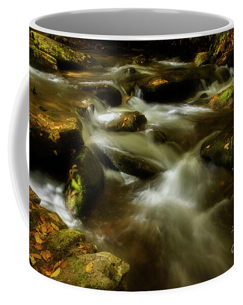 Fall Coffee Mug featuring the photograph Early Autumn Light by Mike Eingle