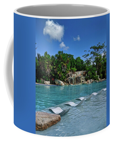 Water Coffee Mug featuring the photograph EcoPark Pool in Belize by Portia Olaughlin