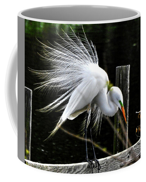 Egret Coffee Mug featuring the photograph Egret Pride by Charlotte Schafer