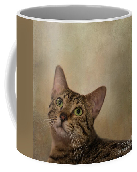 Sphynx Cat Pharaoh Ceramic Mug, Sphynx Mom tea cup