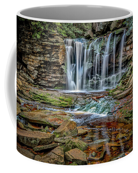 Landscapes Coffee Mug featuring the photograph Elakala Falls 1020 by Donald Brown