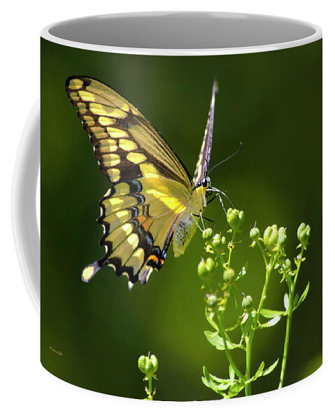 Butterflies Coffee Mug featuring the photograph Elegant Swallowtail Butterfly by Christina Rollo
