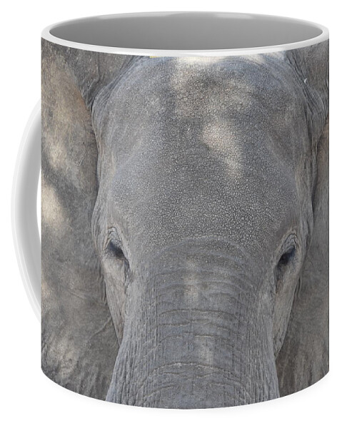 Elephant Coffee Mug featuring the photograph Elephant Closeup by Ben Foster