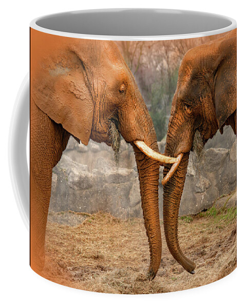 Elephants Coffee Mug featuring the photograph Elephants by Gouzel -