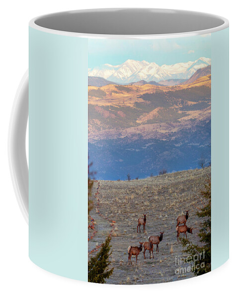 Elk Coffee Mug featuring the photograph Elk Herd by Steven Krull