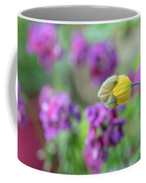 Meconopsis Cambrica Coffee Mug featuring the photograph Emerging Poppy by Tim Gainey