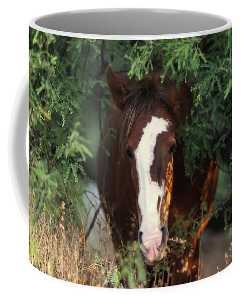 Mare Coffee Mug featuring the photograph Emerging by Shannon Hastings