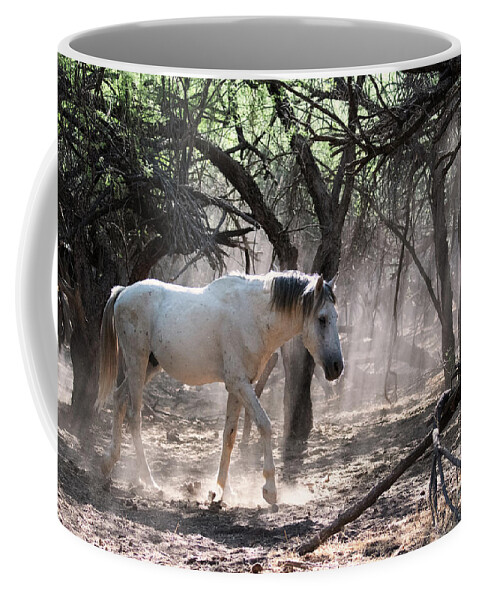 Enchanted Forest Coffee Mug featuring the photograph Enchanted Forest by Shannon Hastings