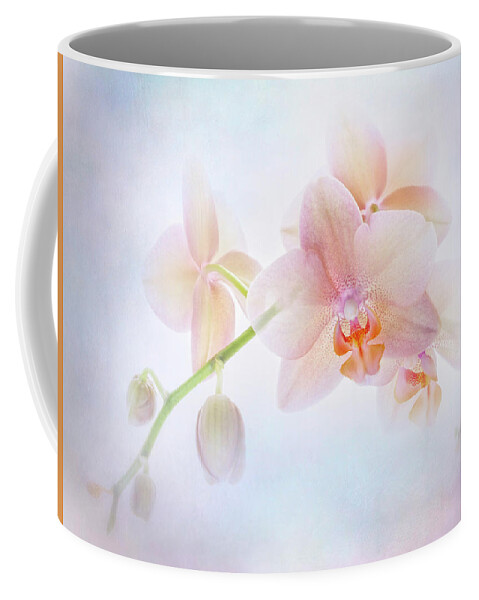 Anemone Coffee Mug featuring the photograph Enlightment. by Usha Peddamatham