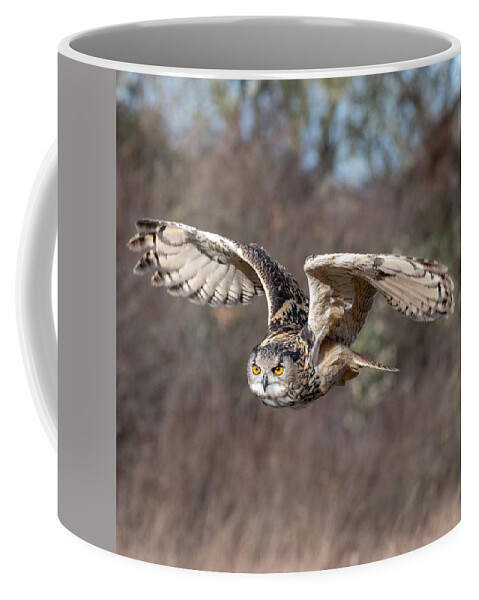 Owl Coffee Mug featuring the photograph Eurasian Eagle Owl Flying 2 by Mark Hunter