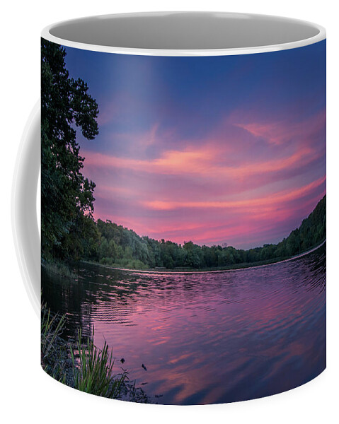 Lake Coffee Mug featuring the photograph Evening at Springfield Lake by Allin Sorenson