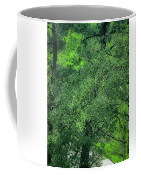 Trees Coffee Mug featuring the photograph Ever Green by Lora J Wilson