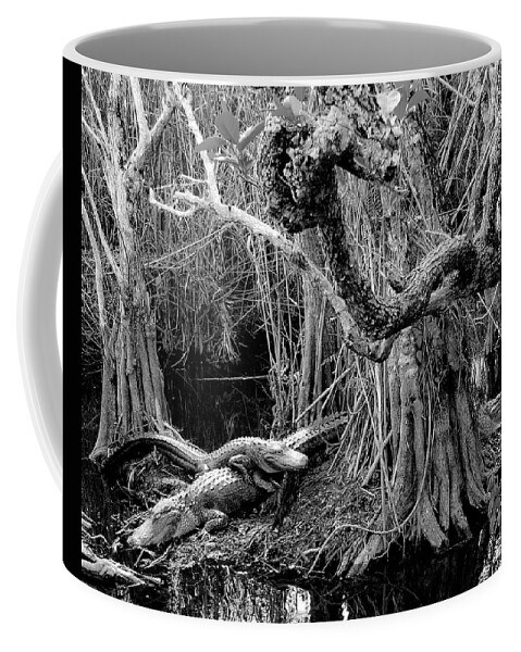 Everglades Alligators Coffee Mug featuring the photograph Everglades #6 by Neil Pankler